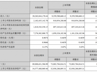 寧德時代半年財報：凈利潤增130%至21億元 四大風險需警惕