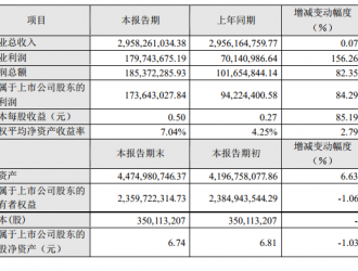 雄韜股份去年總營收29.58億 鋰電業務銷售額及利潤大增