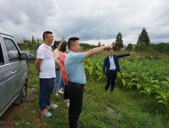 “近零碳”示范園區緣何落地難？