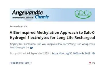 柔性鈉離子電池容量及穩(wěn)定性獲提升！新技術(shù)可防止電解質(zhì)鹽析……