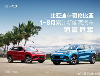 自主品牌新能源汽車(chē)市場(chǎng)崛起