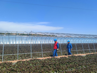 國網蘭州供電：田間地頭助春耕 護航村民“致富菜”